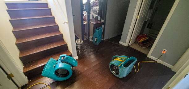 Best Carpet water damage restoration  in Simpsonville, KY