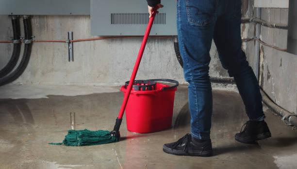 Best Water damage contractors near me  in Simpsonville, KY