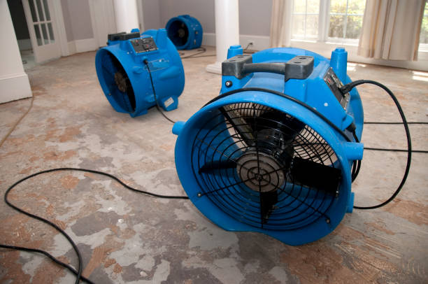 Best Flood damage cleanup  in Simpsonville, KY