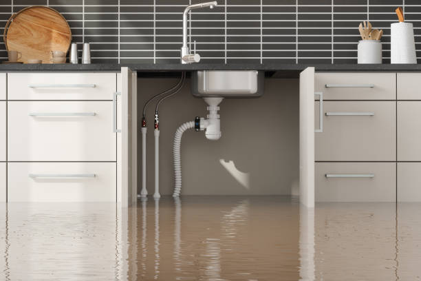 Best Commercial water damage restoration  in Simpsonville, KY