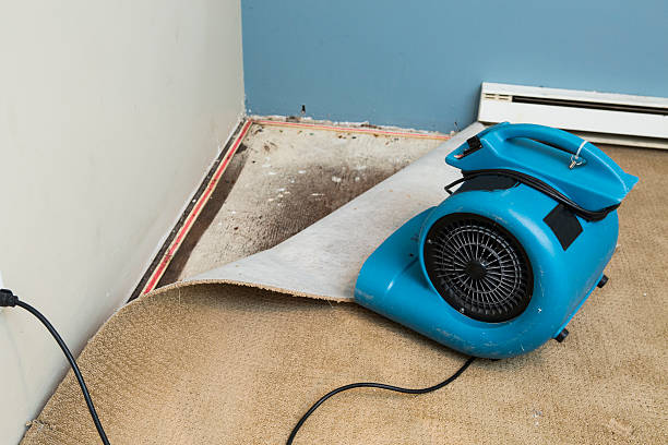 Best Carpet water damage restoration  in Simpsonville, KY